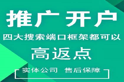 SEM托管代运营案例：打造高效营销体系